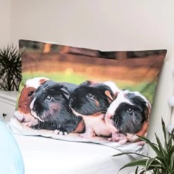 Animal Pictures Dekbedovertrek, Cavia - Eenpersoons - 140 X 200 Cm - Katoen -Bedbekleding schommelt. 1000053388 0103