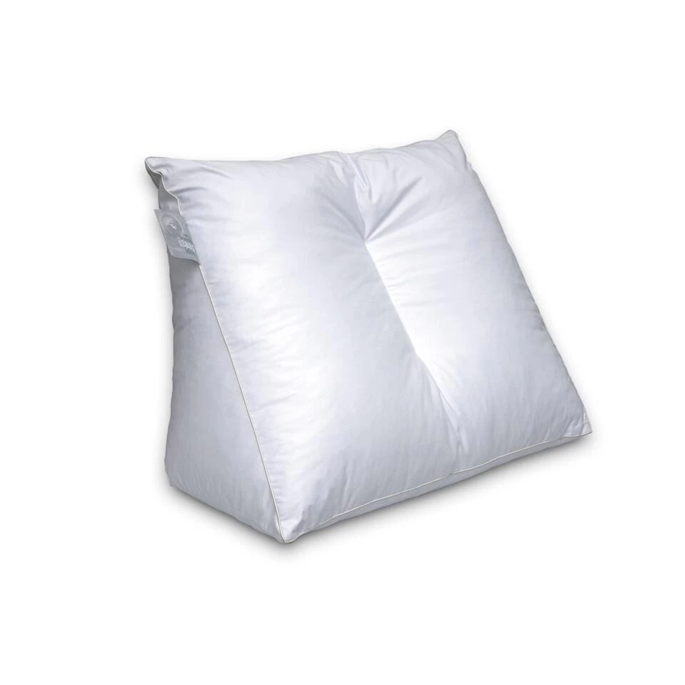 Ducky Dons Lekker Lui Lezen Loungekussen - 45x65x30 1 Ducky Dons Lekker Lui Lezen Loungekussen - 45x65x30