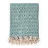 ELODIE - Plaid 140x180 Cm - Sagebrush Green - Lichtgroen & Beige - Franjes - Geo