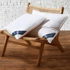 De Witte Lietaer Kussen Ducky - 60 X 70 Cm - Donsvulling -Bedbekleding schommelt. 1163069466 0103