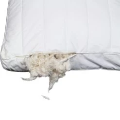 Polydaun Hoofdkussen First Kapok - 60x50 Cm -Bedbekleding schommelt. 81024519 9000